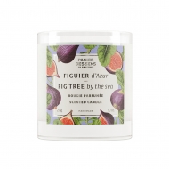        HOME Scented candle Fig tree by the sea, Panier Des Sens, 275 
